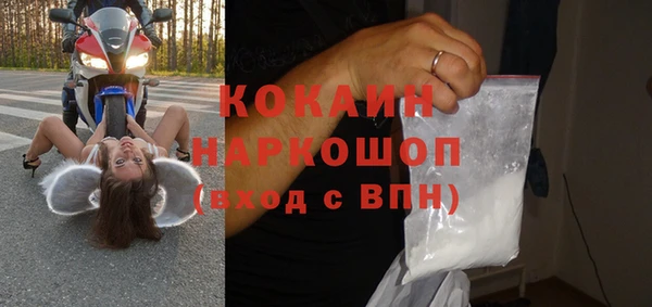 винт Абаза