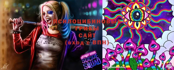 гидра Абинск