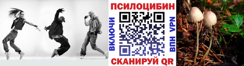 мориарти состав  omg ONION  Нерехта  Галлюциногенные грибы Magic Shrooms 
